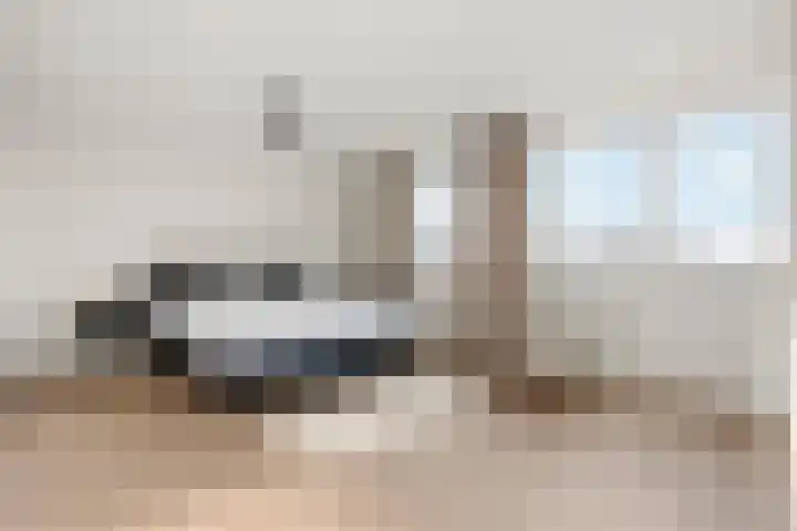 Stokroos 18 Zevenhuizen thumbnail 22