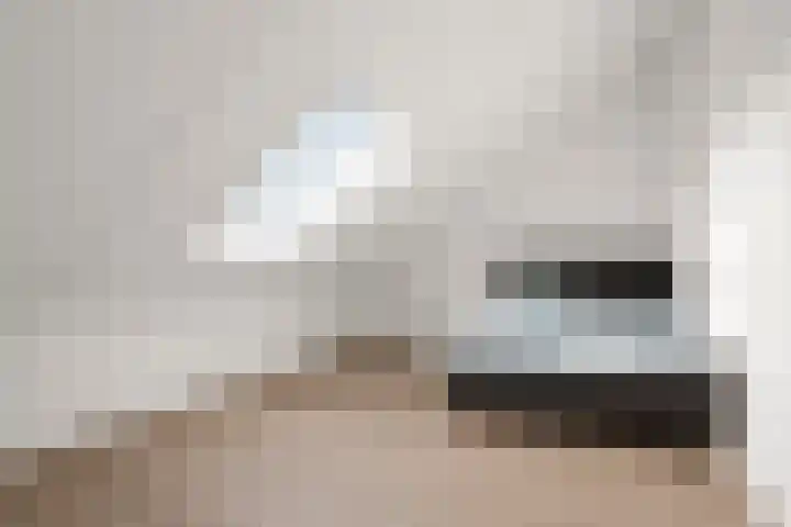 Stokroos 18 Zevenhuizen thumbnail 29