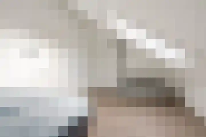 Stokroos 18 Zevenhuizen thumbnail 30