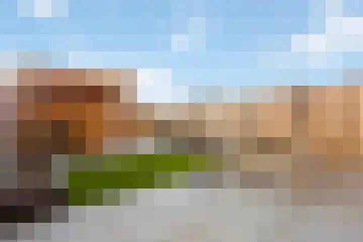Stokroos 18 Zevenhuizen thumbnail 34
