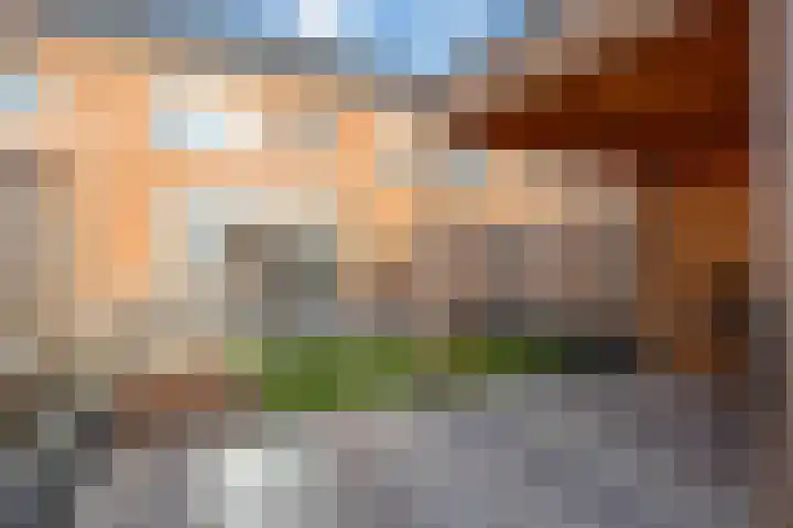 Stokroos 18 Zevenhuizen thumbnail 35