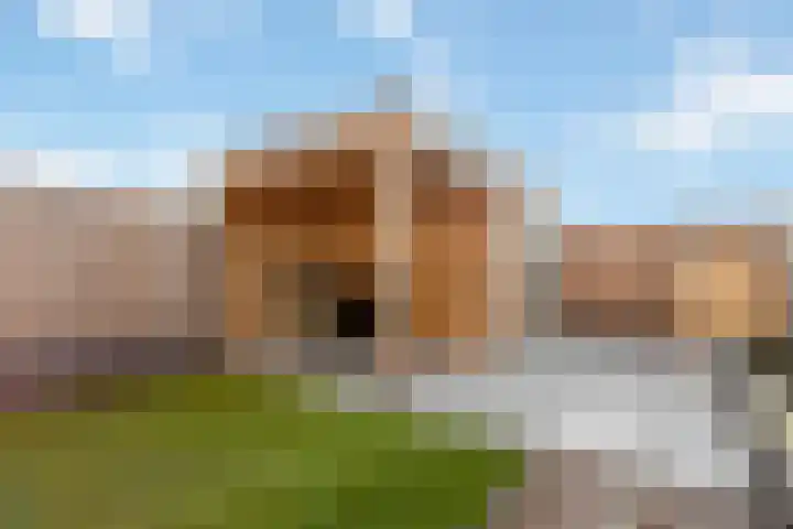 Stokroos 18 Zevenhuizen thumbnail 36