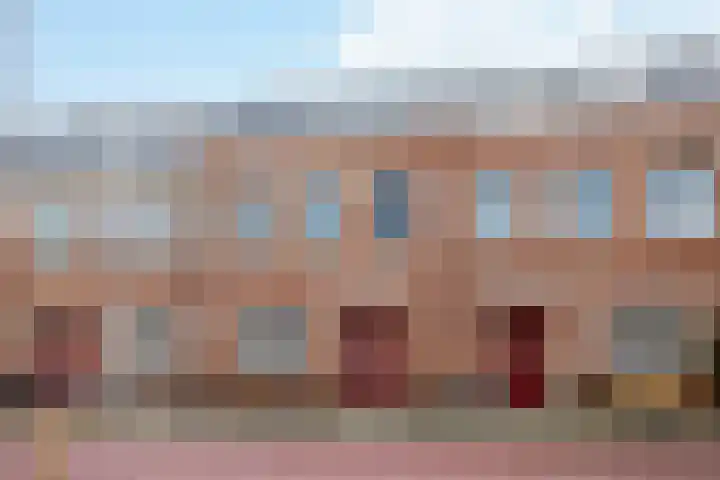 Stokroos 18 Zevenhuizen thumbnail 37