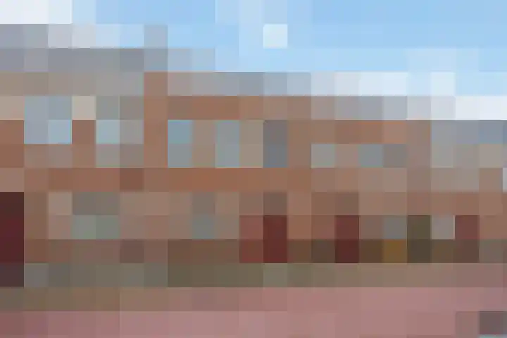 Stokroos 18 Zevenhuizen thumbnail 38
