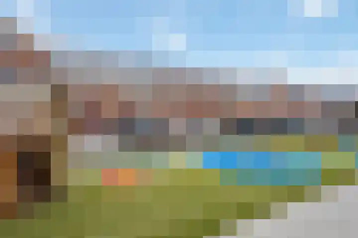 Stokroos 18 Zevenhuizen thumbnail 40