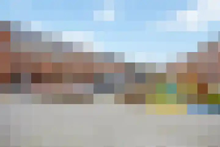 Stokroos 18 Zevenhuizen thumbnail 41