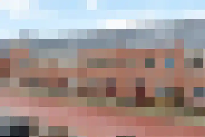 Stokroos 18 Zevenhuizen thumbnail 42