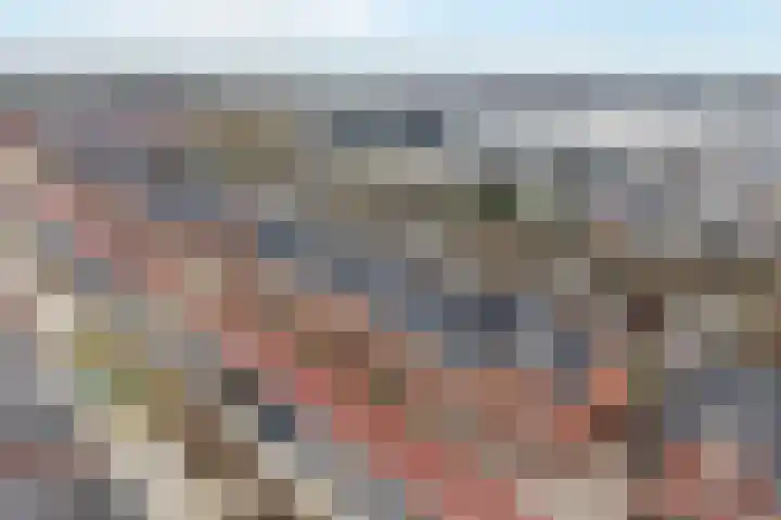 Stokroos 18 Zevenhuizen thumbnail 43