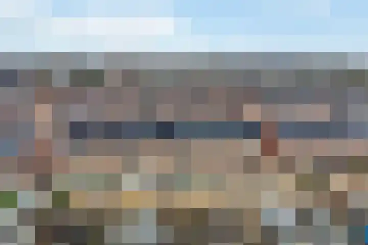 Stokroos 18 Zevenhuizen thumbnail 45