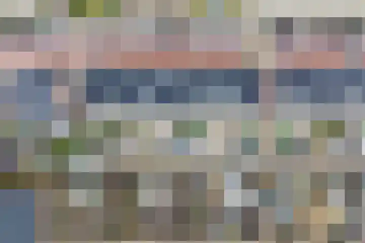 Stokroos 18 Zevenhuizen thumbnail 46