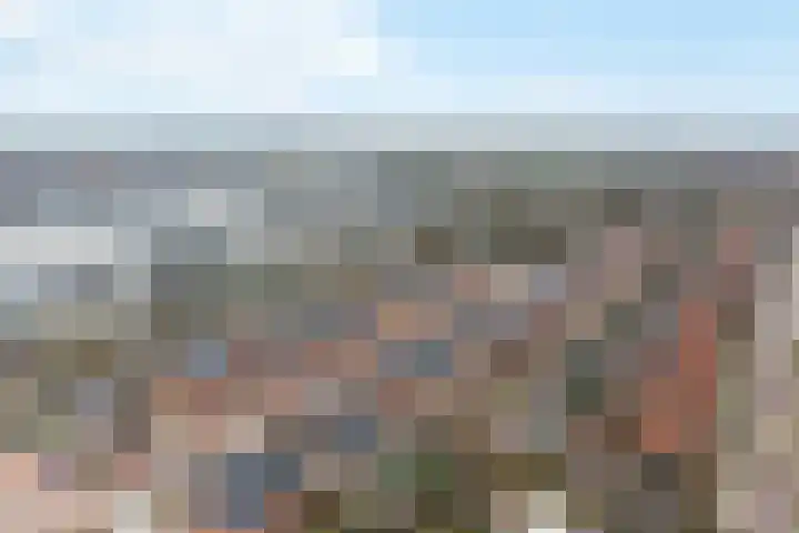 Stokroos 18 Zevenhuizen thumbnail 47