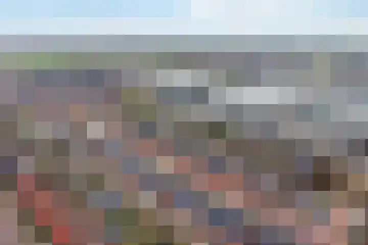 Stokroos 18 Zevenhuizen thumbnail 49