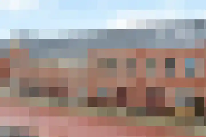 Stokroos 18 Zevenhuizen thumbnail 6