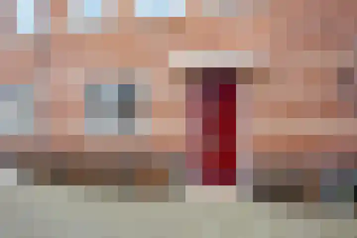 Stokroos 18 Zevenhuizen thumbnail 7