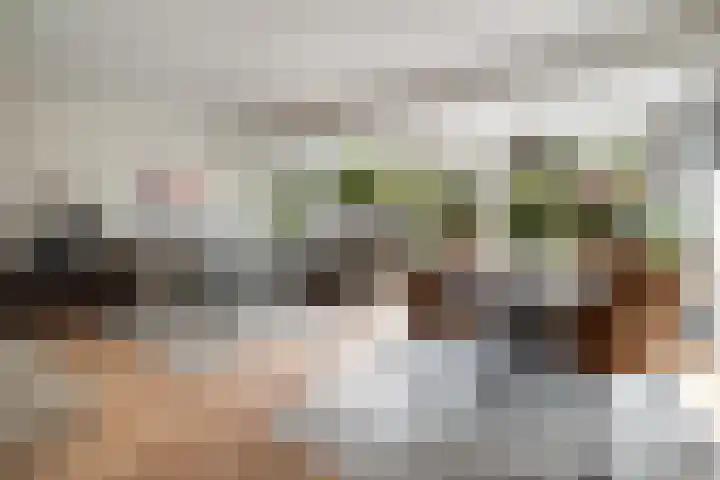 Stokroos 28 Leiden thumbnail 22