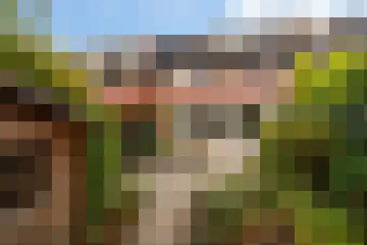 Stokroos 28 Leiden thumbnail 36