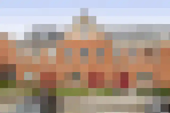 Stokroos 58 in Zevenhuizen