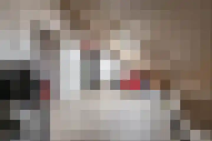 Stokroos 58 Zevenhuizen thumbnail 22