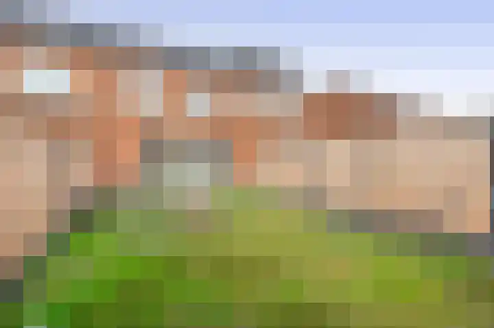 Stokroos 58 Zevenhuizen thumbnail 23