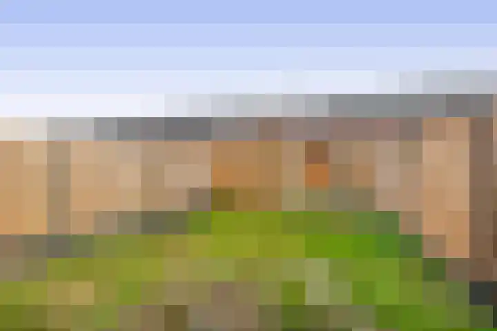 Stokroos 58 Zevenhuizen thumbnail 25
