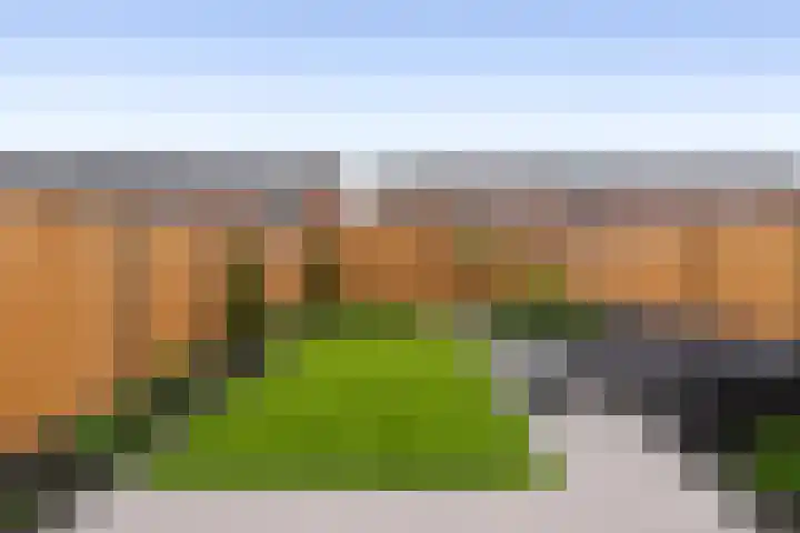 Stokroos 58 Zevenhuizen thumbnail 26