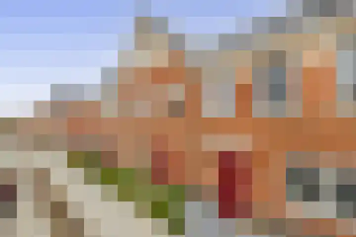 Stokroos 58 Zevenhuizen thumbnail 27