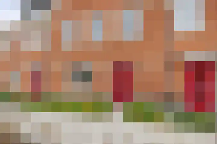 Stokroos 58 Zevenhuizen thumbnail 4
