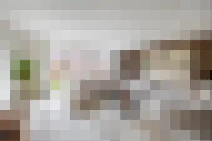 Stokroos 58 Zevenhuizen thumbnail 7