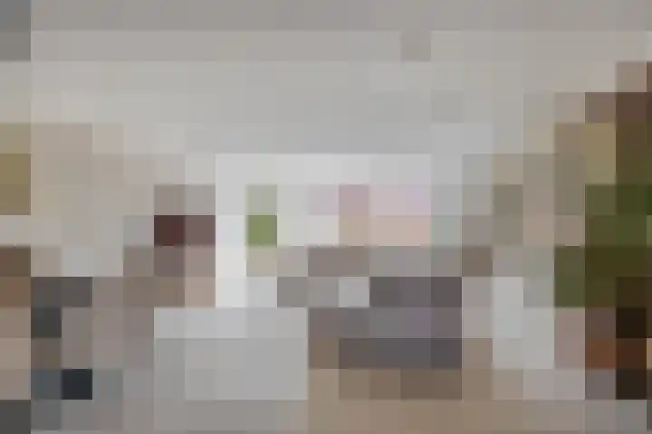 Stokroos 58 Zevenhuizen thumbnail 8