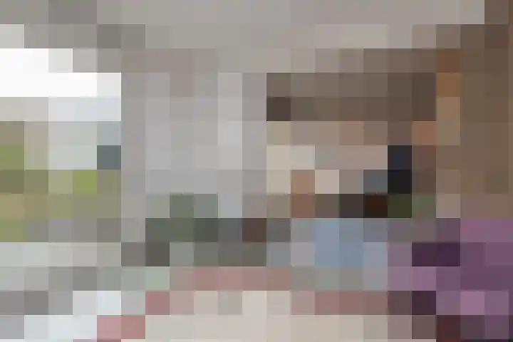 Stokroos 8 Leiden thumbnail 13