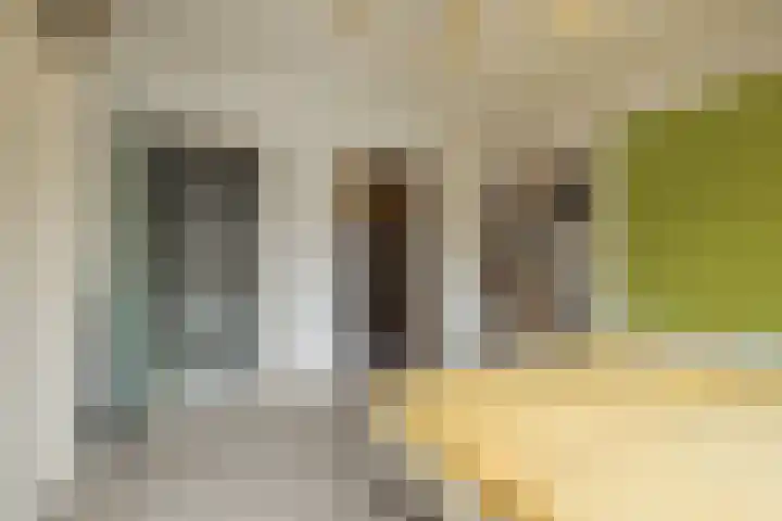 Stokroos 8 Leiden thumbnail 24