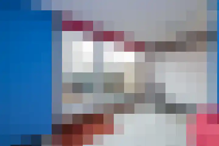 Stokroos 8 Leiden thumbnail 35
