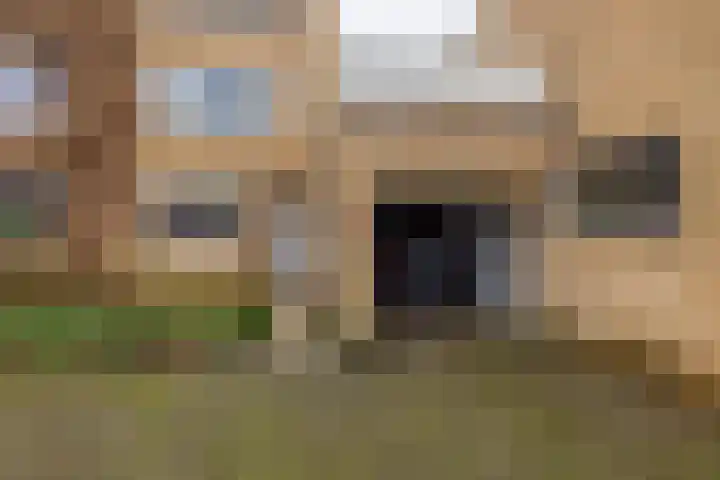 Stokroos 8 Leiden thumbnail 4