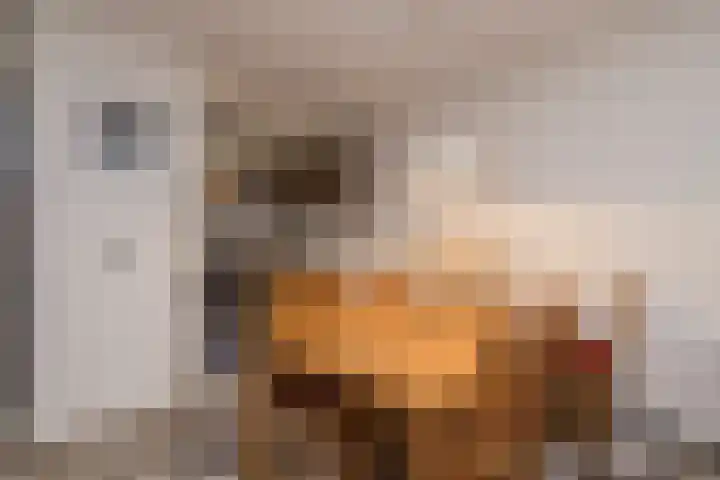 Stokroos 8 Leiden thumbnail 8
