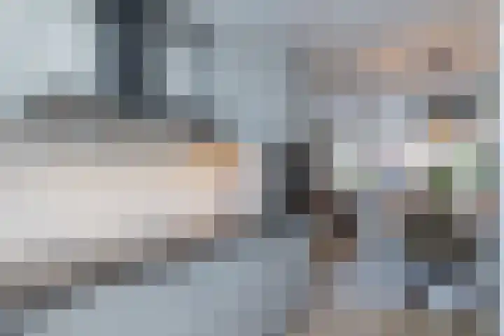 Stokroos 8 Noordwijkerhout thumbnail 10