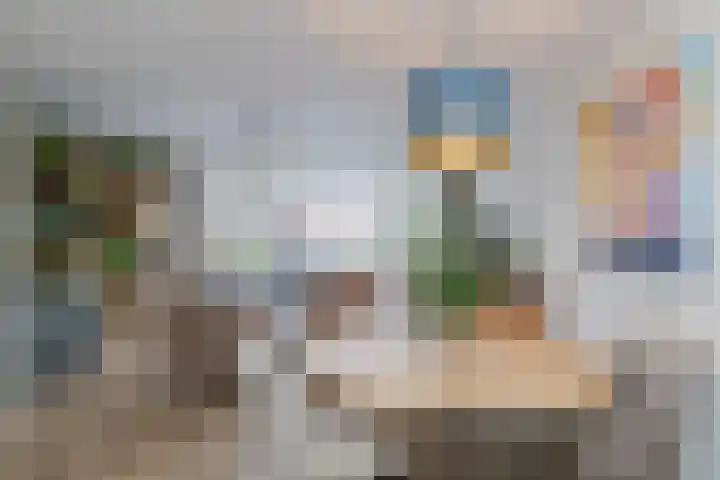 Stokroos 8 Noordwijkerhout thumbnail 11