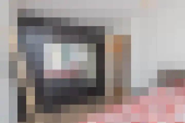 Stokroos 8 Noordwijkerhout thumbnail 20