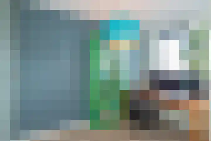 Stokroos 8 Noordwijkerhout thumbnail 21