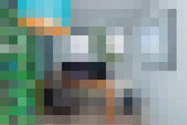 Stokroos 8 Noordwijkerhout thumbnail 22