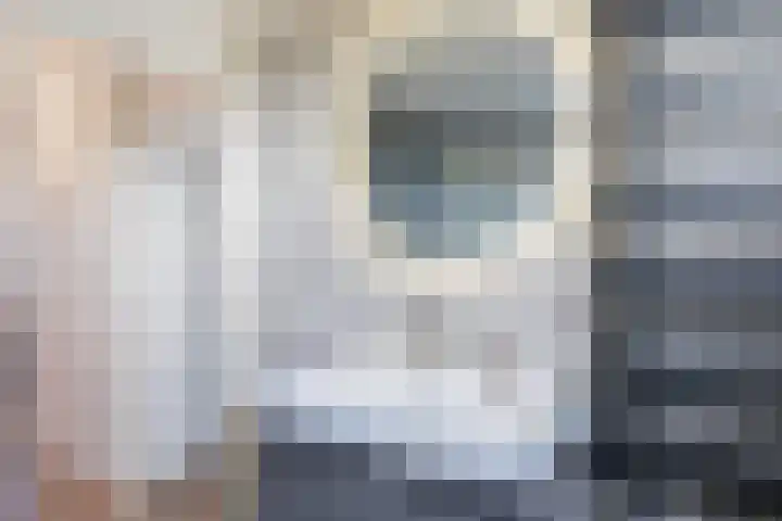 Stokroos 8 Noordwijkerhout thumbnail 25