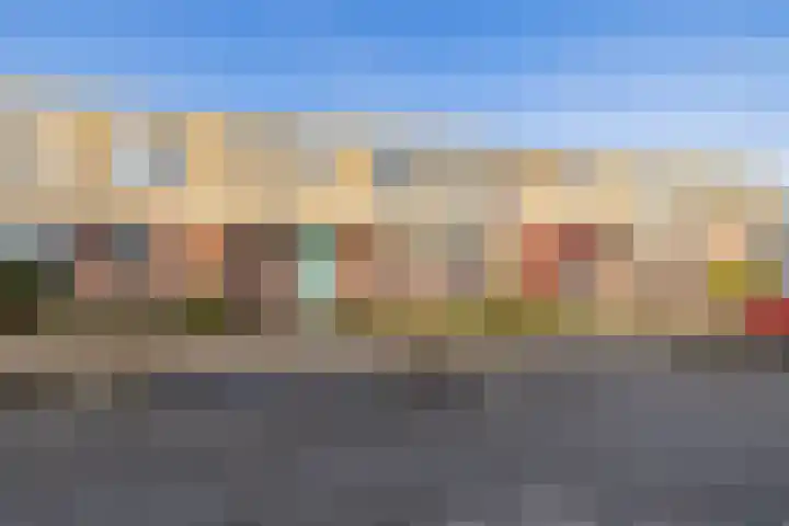 Stokroos 8 Noordwijkerhout thumbnail 26