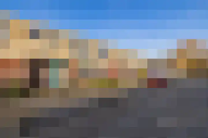 Stokroos 8 Noordwijkerhout thumbnail 27
