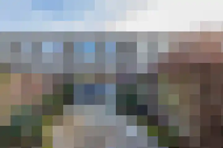 Stokroos 8 Noordwijkerhout thumbnail 6