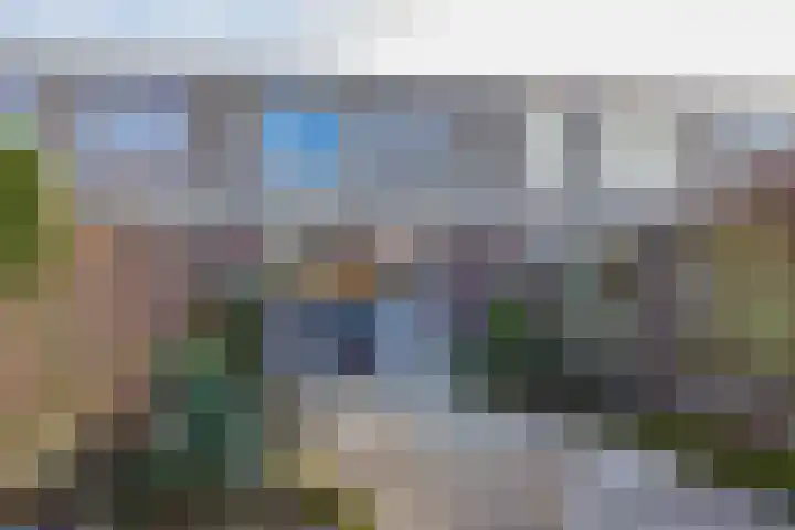 Stokroos 8 Noordwijkerhout thumbnail 7