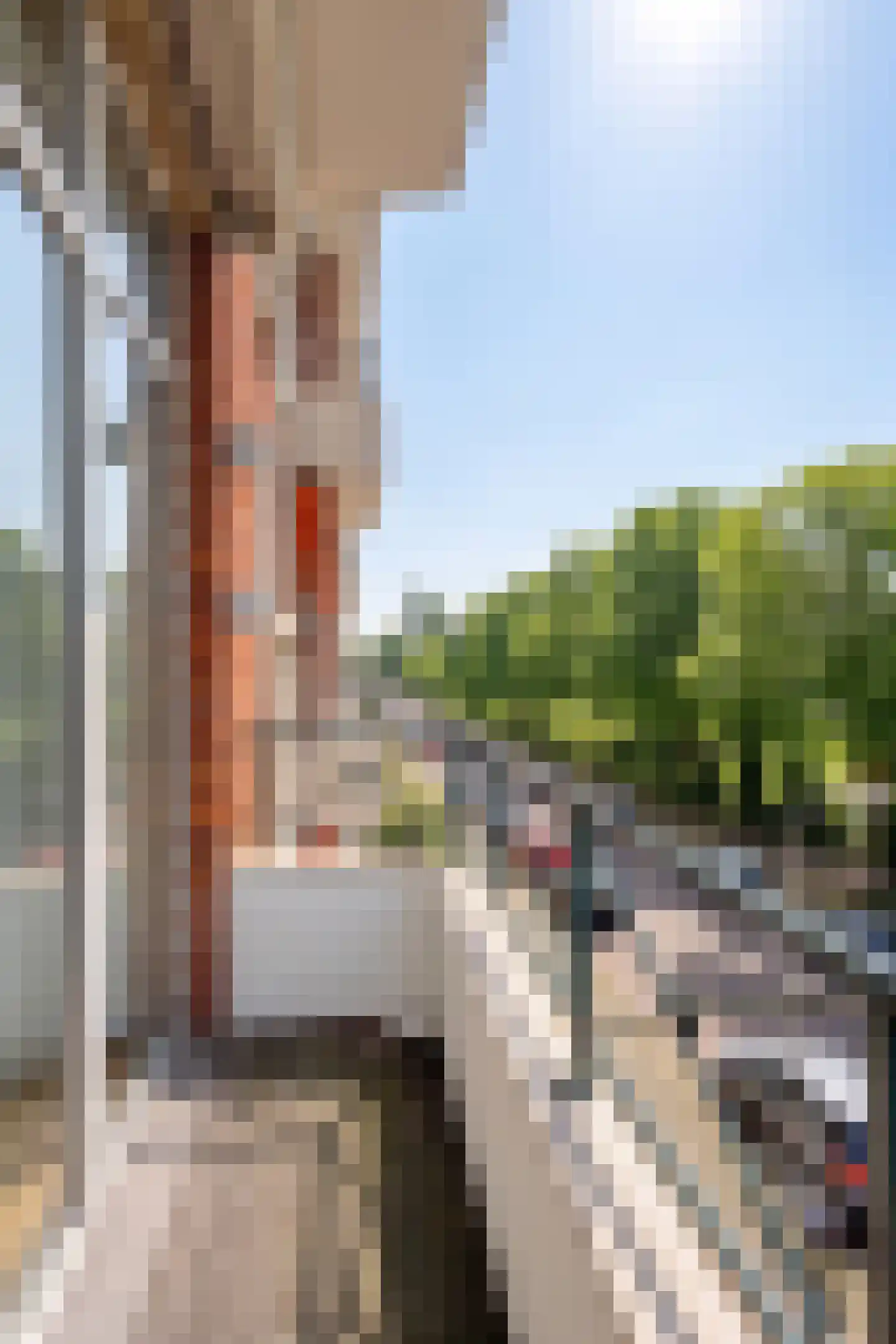 Stokroosstraat 127 Den Haag thumbnail 35