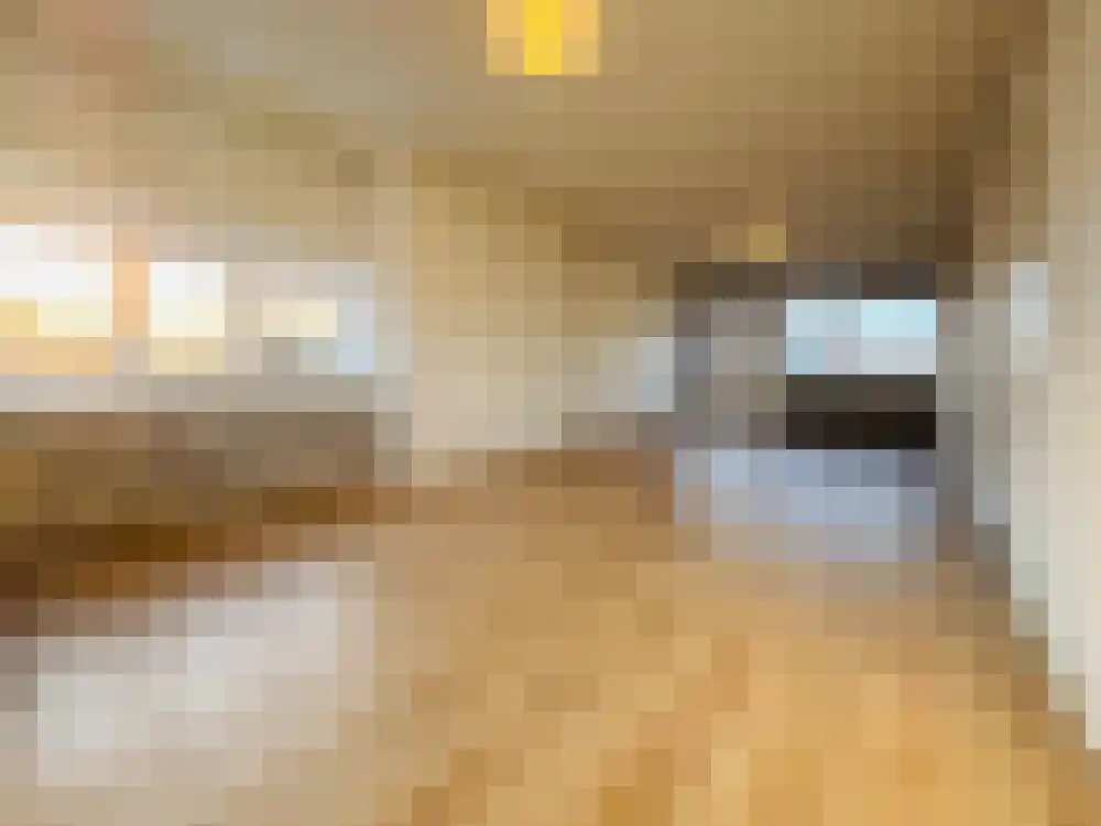 Stokroosstraat 199 Den Haag thumbnail 10
