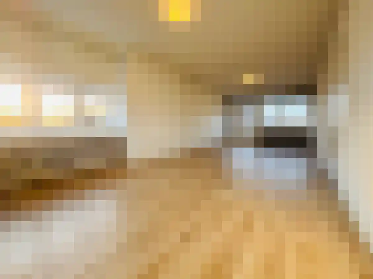Stokroosstraat 199 Den Haag thumbnail 5