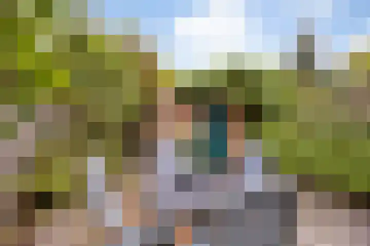 Stokroosstraat 5 Eindhoven thumbnail 10