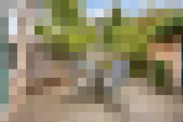 Stokroosstraat 5 Eindhoven thumbnail 11