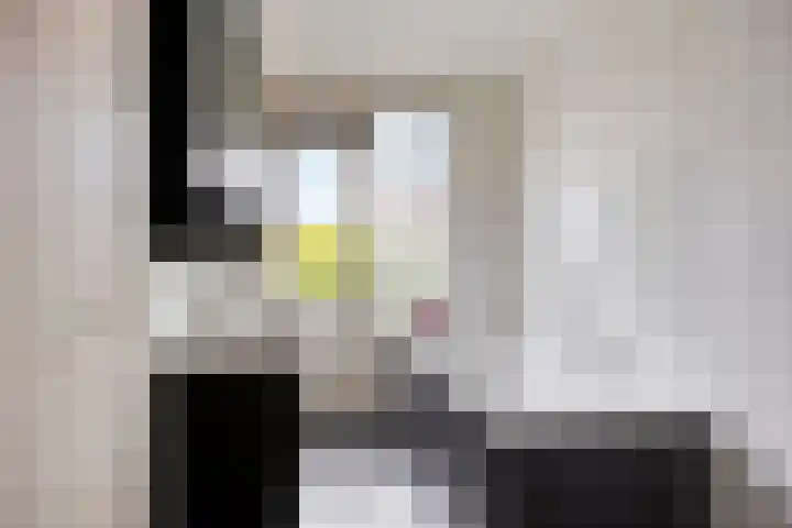 Stokroosstraat 5 Eindhoven thumbnail 17